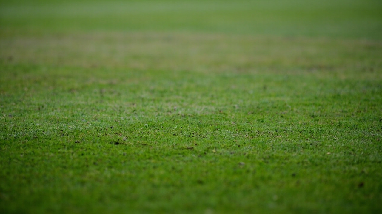 Fantasy Cricket tip 3 venue